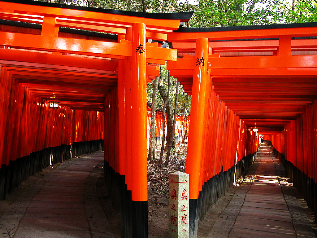 すべての講義 a4 地図 : Torii Library