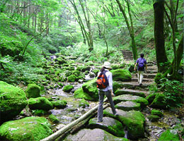 「御岳山」の画像検索結果