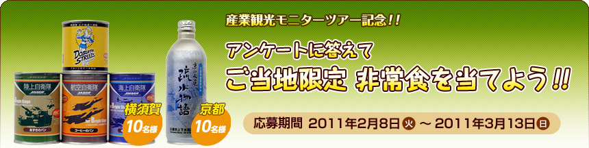 ȴѸ˥ĥѸǰ 󥱡ȤƤϸ ￩Ƥ褦 ֡2010ǯ28ʲСˡ2010ǯ313